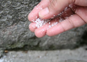 Mẹo đơn giản giúp đuổi kiến mà không cần dùng đến thuốc giệt côn trùng
