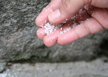 Mách nhỏ 10 mẹo đơn giản mà hiệu quả để đuổi lũ kiến đi
