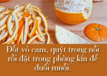 Mách bạn một số tuyệt chiêu giúp nhà sạch bóng muỗi