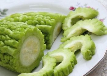 Lợi ích của mướp đắng