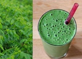 Cách đơn giản đánh bay nhiệt miệng bạn có thể tham khảo