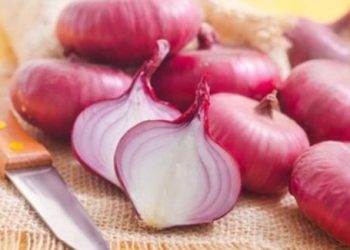Cách đuổi gián đơn giản, hiệu quả làm chúng chết nhanh chóng