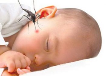 Mẹ Ấn Độ chia sẻ mẹo hay để xử lý khi con bị muỗi đốt