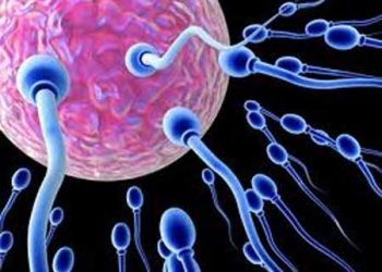 Mách nhỏ 3 cách duy trì sự khỏe mạnh cho tinh trùng nên biết