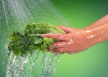 Cách rửa rau quả an toàn để bảo vệ sức khỏe của mình?