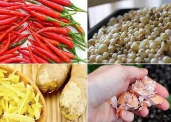8 cách chế biến thuốc trừ sâu từ thực phẩm nhà bếp