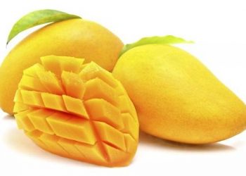 Hướng dẫn cách chọn xoài ngon, tốt cho sức khỏe ngày hè