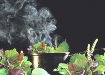 Những điều kiêng kỵ khi tắm hơi không phải ai cũng biết