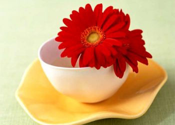 Cách giữ hoa tươi lâu