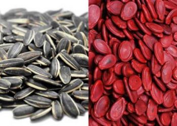 Những lưu ý khi mua hạt dưa, hạt hướng dương dịp Tết