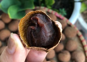 Gái đảm mách cách làm vải thiều phơi nắng cực ngon và đơn giản tại nhà không kém gì mang sấy