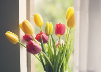 Gợi ý 10 cách giúp nhà mát mẻ không cần bật điều hòa