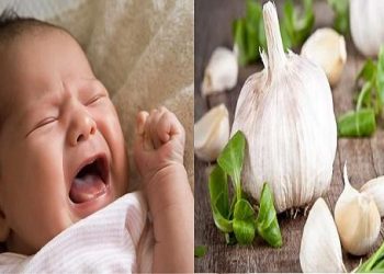 Những mẹo trị chứng thở khò khè ở trẻ em bằng nguyên liệu thiên nhiên
