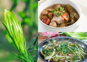 Hoa thanh long ăn được không? – Gợi ý các món ngon độc lạ bất ngờ