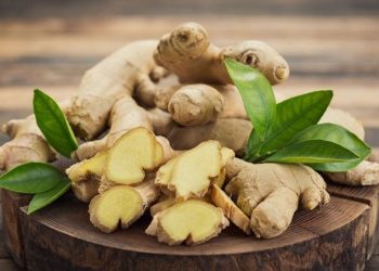 4 cách chọn gừng tươi, thơm và có độ cay đạt chuẩn
