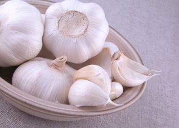 Kinh nghiệm dân gian xử trí khi bị côn trùng đốt ai cũng phải học