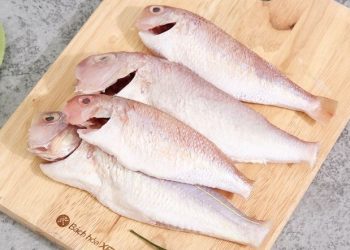 Cách chọn cá hường tươi ngon, không sợ mua nhầm cá ươn