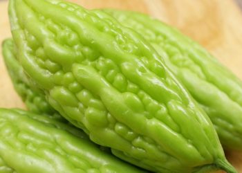 Cách chọn khổ qua tươi ngon, giàu chất dinh dưỡng