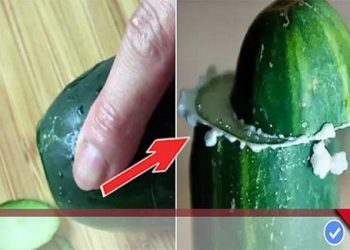Sự thật về việc trước khi ăn DƯA LEO nhớ phải chà, chà thật mạnh tay đến khi thấy SỦI BỌT mới thôi