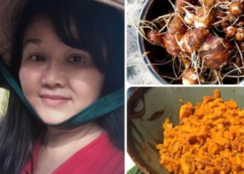 Cuộc sống “về vườn” của BTV Thu Uyên và những món ăn mộc mạc, thân thương gây xúc động
