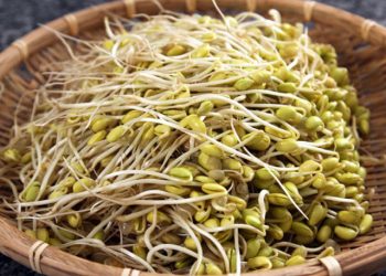 Cách làm giá đỗ xanh tại nhà vừa nhanh, vừa ngon, vừa sạch