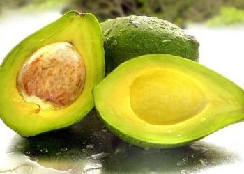 Đừng quên bài thuốc chữa tiểu đường hiệu quả bằng quả bơ này nhé!