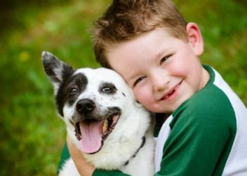 An toàn cho trẻ khi nhà có thú nuôi và đi vườn thú nên biết