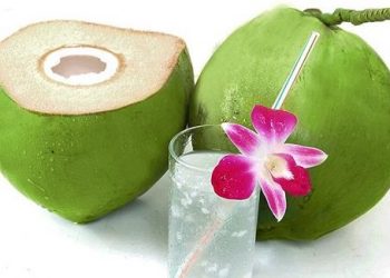Mẹ nào cũng nên biết hai lưu ý để biết cách chọn dừa xiêm ngon dưới đây
