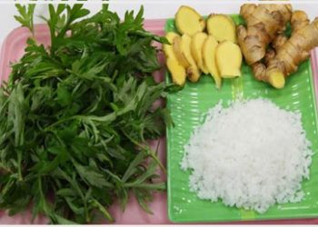Cách chữa bệnh phong thấp tại nhà bằng thảo dược tự nhiên