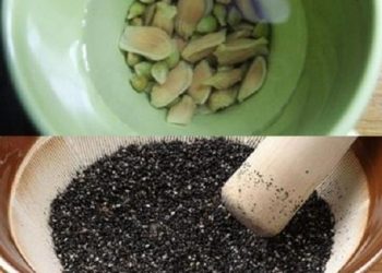 Cách điều trị rụng tóc từng mảng như thế nào cho hiệu quả?