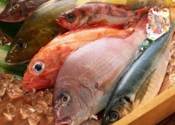 Chẳng cần tủ lạnh nữa, giờ đã có cách giữ hải sản tươi lâu rồi