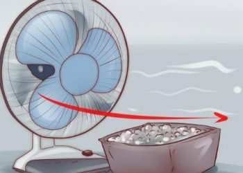 Học cách làm mát cho mùa hè với những mẹo đơn giản sau