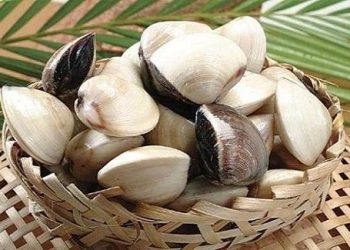 Mách bạn hai cách làm sạch ngao hiệu quả trước khi chế biến món ăn