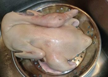 Mách chị em mẹo nhổ lông vịt sạch và nhanh