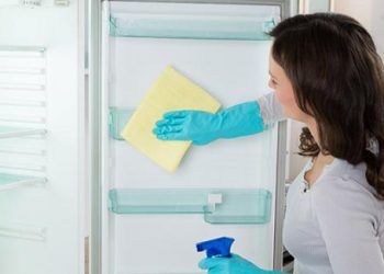 Cách vệ sinh tủ lạnh thế nào để không còn mầm bệnh?