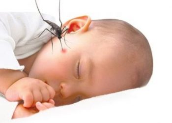Mách mẹ những cách sơ cứu trẻ bị côn trùng cắn cực nhanh và hiệu quả