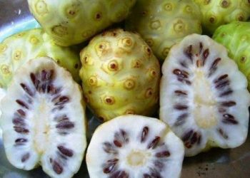 Chữa phong tê thấp bằng 6 bài thuốc đơn giản, dễ tìm