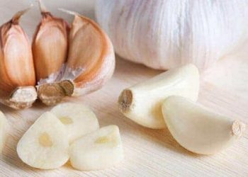 Chữa sùi mào gà bằng tỏi như thế nào để đem lại hiệu quả?