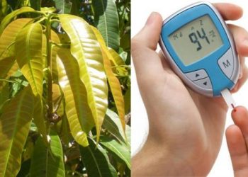 Từ bài thuốc ‘truyền miệng” đến giải pháp hiện đại