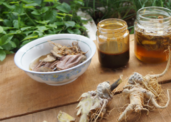 Chữa u xơ tử cung bằng tam thất như thế nào mới hiệu quả?