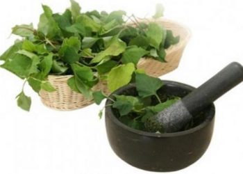Chữa viêm họng hạt tại nhà bằng những bài thuốc Đông y