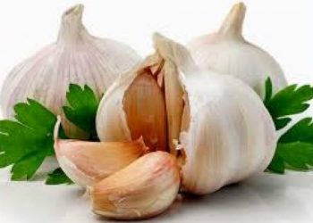 Mẹo hay chữa zona bằng tỏi và một số thảo dược khác