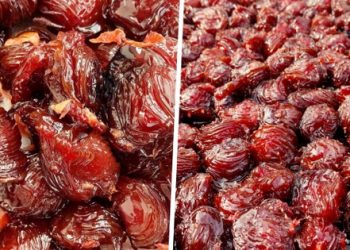 Mận vào mùa, học mẹ đảm làm mứt mận dẻo ngọt, thơm ngon không hề bị nát