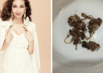 Ca sĩ Lều Phương Anh ăn con vật kỳ lạ chỉ sống vài giờ: Nhìn thì sợ, nghe tên nhiều người càng tò mò