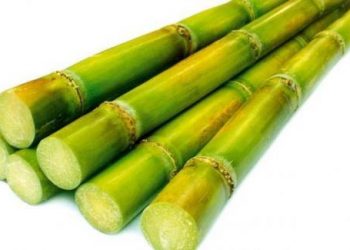 Bí quyết giải rượu nhờ “cây nhà lá vườn” không thể đơn giản hơn