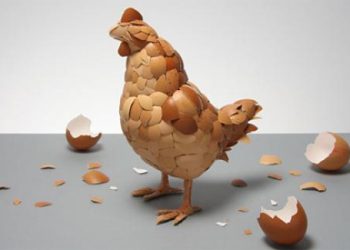 Những công dụng của vỏ trứng đối với sức khỏe con người