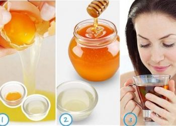 Điều trị viêm phổi ở người lớn bằng những loại thảo dược vườn nhà