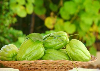 Quả su su giúp ngăn ngừa ung thư và nhiều bệnh lý khác