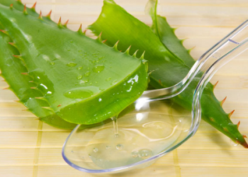 Cách sơ chế nha đam hết đắng và không hề bị nhớt nhất định phải biết