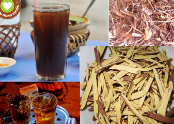 Gan nhiễm mỡ độ 2 uống thuốc gì để bệnh nhanh khỏi?